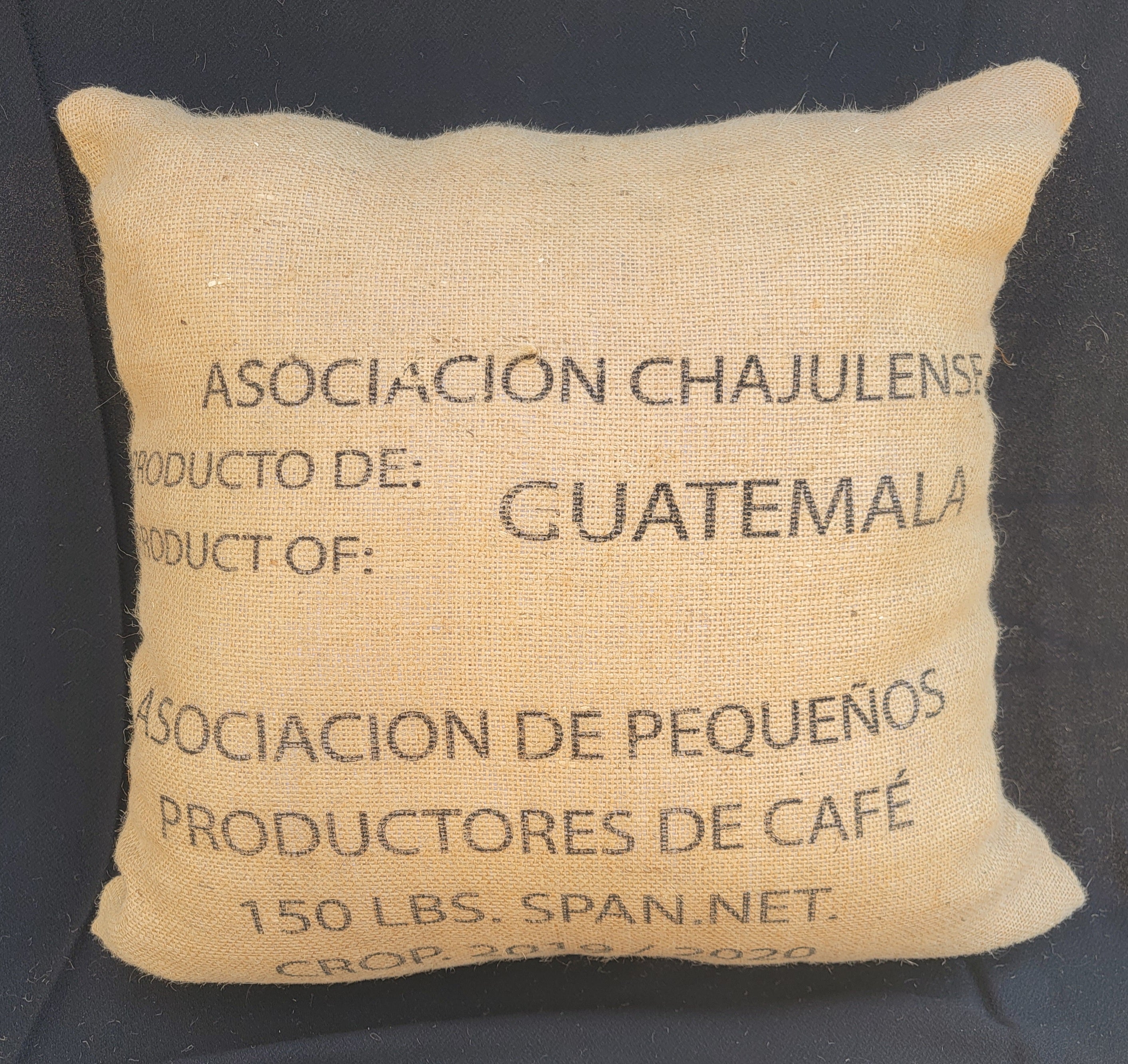 Burlap Decorative Pillow - Guatemala